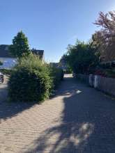 Bild zu gemeldetem Anliegen vom *2025-05-13 06:36:49