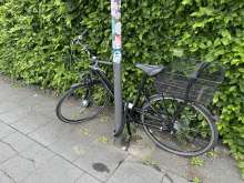 Bild zu gemeldetem Anliegen vom *2025-05-06 09:31:25