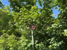 Bild zu gemeldetem Anliegen vom *2025-05-09 12:27:52