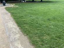 Bild zu gemeldetem Anliegen vom *2025-05-07 13:28:45