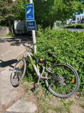 Fahrrad Friedensstr. 116