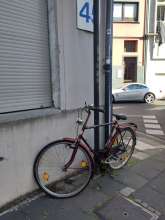 Bild zu gemeldetem Anliegen vom *2025-05-13 15:28:30