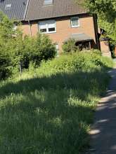 Bild zu gemeldetem Anliegen vom *2025-05-12 09:32:20