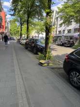Bild zu gemeldetem Anliegen vom *2025-05-08 17:01:19