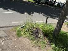 Bild zu gemeldetem Anliegen vom *2025-05-10 14:56:24