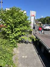 Bild zu gemeldetem Anliegen vom *2025-05-25 12:28:16