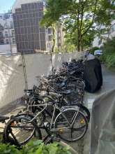 Bild zu gemeldetem Anliegen vom *2025-05-09 09:29:04