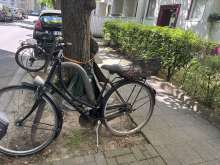 Bild zu gemeldetem Anliegen vom *2025-05-01 12:33:20