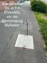 Bild zu gemeldetem Anliegen vom *2025-05-08 10:04:01
