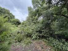 Abgebrochener Baum blockiert Weg