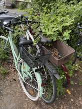 Bild zu gemeldetem Anliegen vom *2025-05-07 12:29:29