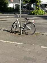 Bild zu gemeldetem Anliegen vom *2025-05-02 06:29:31