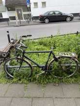 Bild zu gemeldetem Anliegen vom *2025-05-05 21:59:54