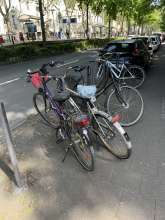 Bild zu gemeldetem Anliegen vom *2025-05-05 15:36:23