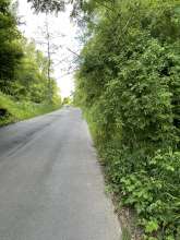 Bild zu gemeldetem Anliegen vom *2025-05-09 09:29:04