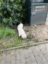 Bild zu gemeldetem Anliegen vom *2025-05-11 15:27:30