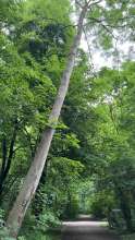 Bild zu gemeldetem Anliegen vom *2025-05-07 12:29:29
