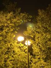 Bild zu gemeldetem Anliegen vom *2025-05-06 12:27:58