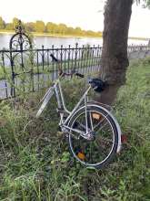 Bild zu gemeldetem Anliegen vom *2025-05-13 22:45:55