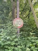 Bild zu gemeldetem Anliegen vom *2025-05-13 23:56:53