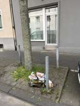 Bild zu gemeldetem Anliegen vom *2025-05-07 21:31:46