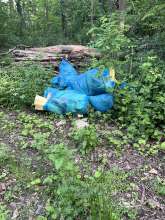 Bild zu gemeldetem Anliegen vom *2025-05-07 15:28:42