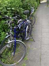 Bild zu gemeldetem Anliegen vom *2025-05-07 15:28:42