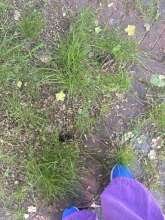 Bild zu gemeldetem Anliegen vom *2025-05-09 06:27:34