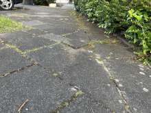 Bild zu gemeldetem Anliegen vom *2025-05-07 18:27:55