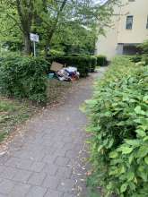 Bild zu gemeldetem Anliegen vom *2025-05-07 15:28:42