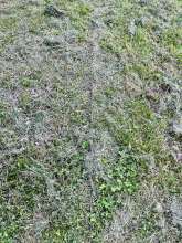 Bild zu gemeldetem Anliegen vom *2025-05-09 15:28:33