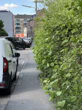 Bild zu gemeldetem Anliegen vom *2025-05-09 17:38:19