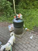 Bild zu gemeldetem Anliegen vom *2025-05-01 10:27:19