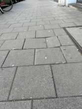 Bild zu gemeldetem Anliegen vom *2025-05-08 07:25:53