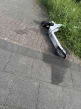 Bild zu gemeldetem Anliegen vom *2025-05-08 17:49:44