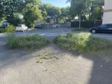 Bild zu gemeldetem Anliegen vom *2025-05-11 18:35:33