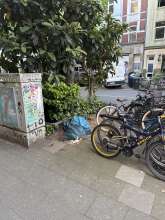 Bild zu gemeldetem Anliegen vom *2025-05-12 18:28:59