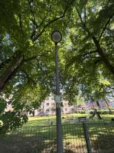 Bild zu gemeldetem Anliegen vom *2025-05-13 09:35:50