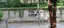 Bild zu gemeldetem Anliegen vom *2025-06-12 15:28:47