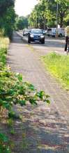 Bild zu gemeldetem Anliegen vom *2025-06-17 18:29:56