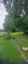 Bild zu gemeldetem Anliegen vom *2025-06-10 09:34:37