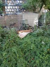 Bild zu gemeldetem Anliegen vom *2025-06-13 08:04:57