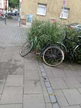Bild zu gemeldetem Anliegen vom *2025-06-20 07:31:35