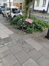 Bild zu gemeldetem Anliegen vom *2025-06-20 07:29:33