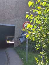 Bild zu gemeldetem Anliegen vom *2025-06-17 15:27:38