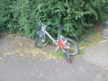 Bild zu gemeldetem Anliegen vom *2025-06-26 14:53:05