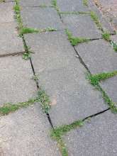 Bild zu gemeldetem Anliegen vom *2025-06-04 12:27:15