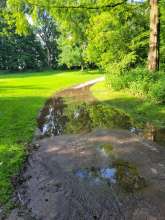 Bild zu gemeldetem Anliegen vom *2025-06-02 09:31:28