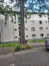 Bild zu gemeldetem Anliegen vom *2025-06-02 15:30:02