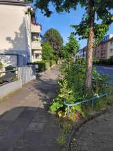 Bild zu gemeldetem Anliegen vom *2025-06-12 21:29:02
